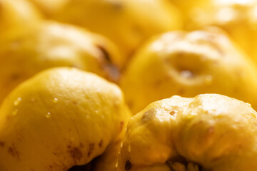 Quince as background or texture