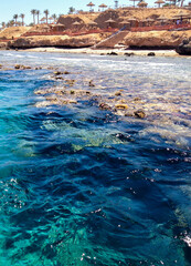 red sea with coral