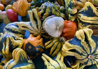 variety of colorful gourds at the market