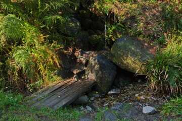 Water spring in Bohemian Forest,Prachatice District,South Bohemian Region,Czech republic,Europe
