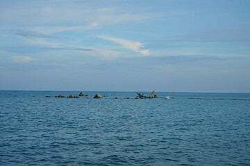 boats in the sea