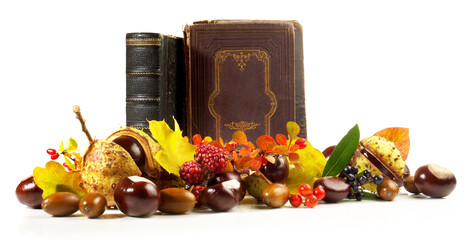 Old Books Autumn Leaves and Fruits isolated on white Background - Panorama