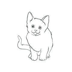 Cat doodle - animal cute pet kitty drawing sketch domestic feline adorable friendly mammal fur love playful mascot vector illustration paw indoor cozy comfort relax