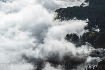 Cloud covers mountain and forest. Forested mountain slope in low lying cloud with the evergreen conifers shrouded in mist in a scenic landscape view in Ceahlau Massif, Romania