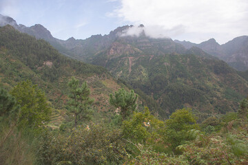 Fototapeta premium Paul da Serra Plateau, Madeira. Portugal
