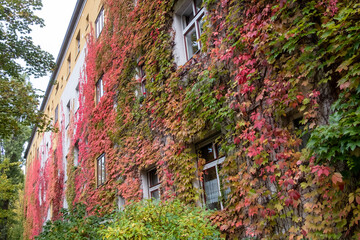 Rot verf&auml;rbte Fassadenbegr&uuml;nung entlang der Varnhagenstrasse in Berlin-Prenzlauer Berg