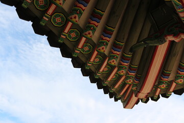 무늬의 아름다움