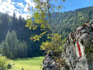 Mountaineering signposts and markings along the waterfalls Giessbach Falls (Giessbachfälle oder...