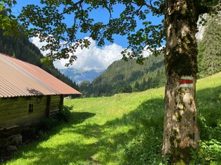 Mountaineering signposts and markings along the waterfalls Giessbach Falls (Giessbachfälle oder...