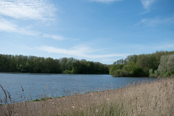 lake in the woods