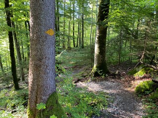 Mountaineering signposts and markings along the waterfalls Giessbach Falls (Giessbachfälle oder...