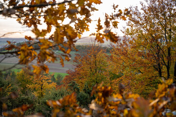Fototapeta premium Geäst