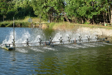 Aeration machine in the shrimp pond of farmers.
