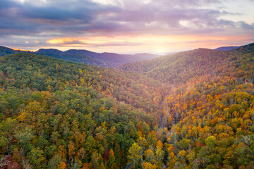 Pisgah National Forest, North Carolina, USA