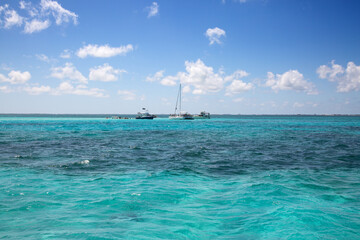 Obraz premium Stingray city