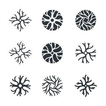 Neuron logo set collection - brain cell science nerve biology neurology medical nervous neural network receptors mind square intelligence connection mental health memory