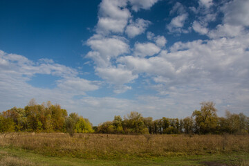 Fototapeta na wymiar Beautiful sky with clouds, meadow and forest in the distance. autumn landscape on the banks of the Desna river in Ukraine