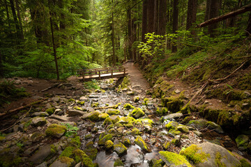 Olympic National Park, Washington, USA