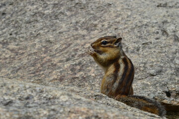 Climbing Seoraksan mountain in the Taebaek mountain range in the Gangwon Province outside of Sokcho, South Korea