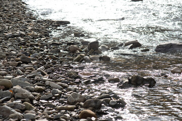 Mountain rapid river through the autumn forest