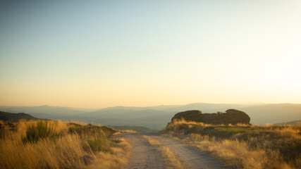 Camino 