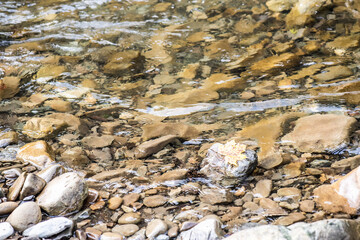 River in the mountains with pebbles in autumn