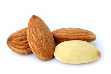 Almond was isolated on a white background