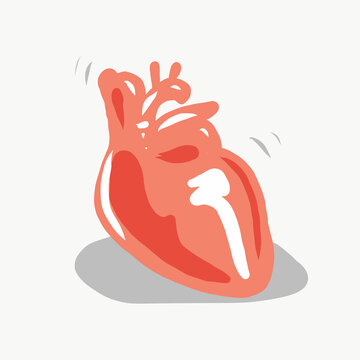 Realistilc heart drawing. Cartoon  illustration