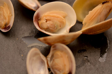 vongole veraci frutti di mare del mare mediterraneo