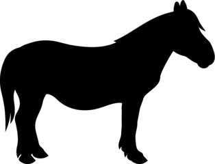 Vector illustration of the mule silhouette