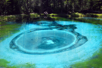 Legendary geyser lake hidden in the mountains and taiga of the Altai. Blue and green water, the pattern of which is constantly changing.  Wildlife. Travel across Russia