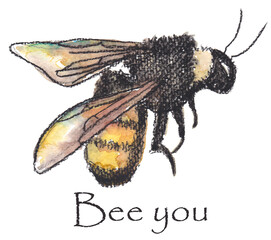 Bee you drawing with conte charcoal illustration colored with watercolors