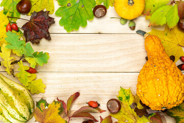 Halloween concept. Autumn Natural harvest with orange pumpkin, fall dried leaves, red berries and acorns, chestnuts on wooden background in shape frame. Beauty Holiday autumn festival concept.