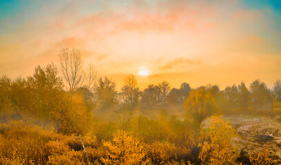 Autumn yellow landscape at dawn - yellowed foliage in the rays of the sunrise rising sun - a panoramic shot at the golden hour
