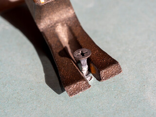 I pull the screw out of the drywall with the back of the hammer. Close-up, selective focus