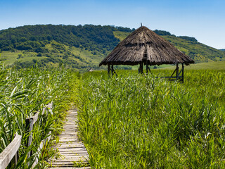 Traditional hut in the middle on a beautiful green grass background 