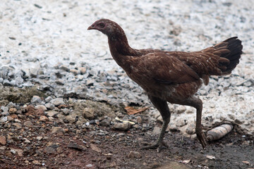 
hen walking forward beside the cast ground