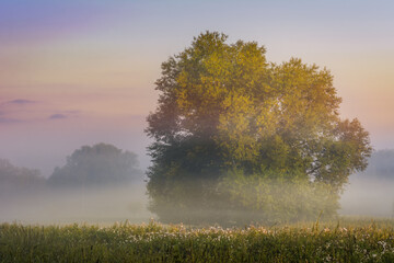 Obraz na płótnie Canvas misty sunrise over fields and meadows