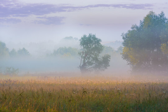 misty sunrise over fields and meadows
