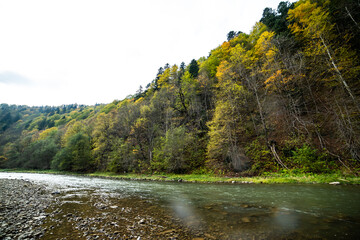River in the mountains with pebbles in autumn