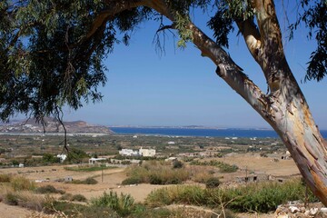 inland overview of Naxos island in Greece