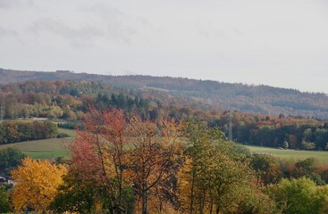Fototapeta premium Herbstblick