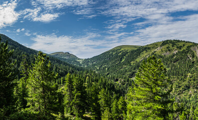 Panoramic landscape view on mountain range with coniferous forest in wild taiga, Siberia, Russia