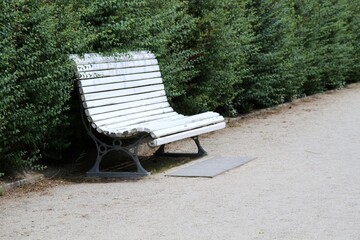 Klassische Sitzbank aus Holz und Metall vor einer Hecke im Park - 387772403