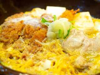 Fried pork cutlet (tonkatsu) with egg topping on steamed rice. (Katsudon) background