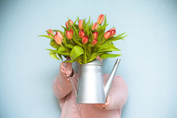 A bouquet of red tulips in an iron vase - watering can. Woman holding a vase of flowers