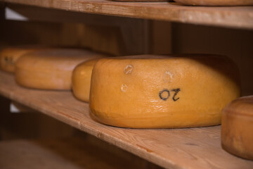 Closeup view  of Dutch Cheese in Holland