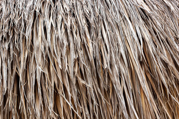 Background of roof covered with dry palm leaves. Natural texture. Popular building material for thatched roofs on rural house in tropical Asian countries
