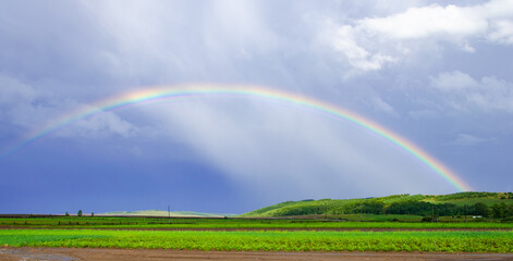 Countryside landscape with rainbow and green meadows.