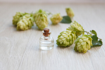 hop cones, Humulus essential oil container, tincture, on wooden background
